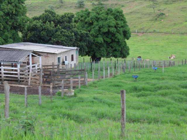 Fazenda 22 alqueires municipio cocalzinho
