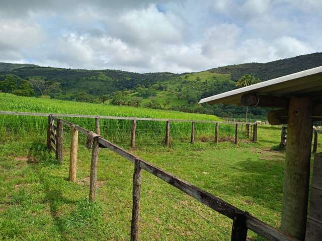 Fazenda top 120 alqueires municipio cocalzinho