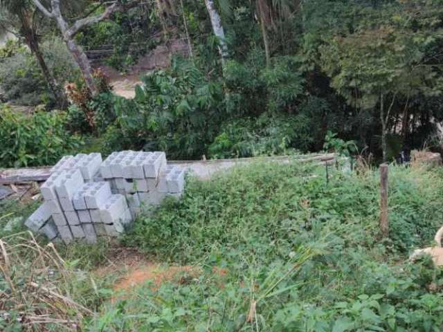 Terreno à venda no Camarão, Ilhabela , 561 m2 por R$ 350.000