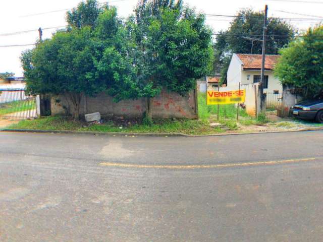 Terreno à venda, 444 m² por R$ 460.000 - Vila Emiliano Perneta - Pinhais/PR