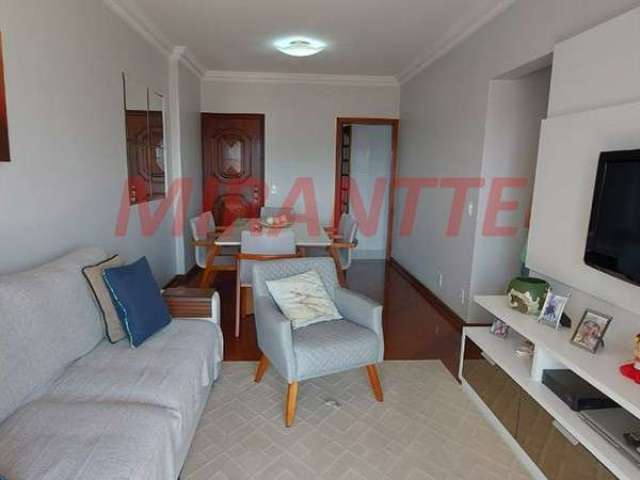 Apartamento de 77m² com 2 quartos em Vila Amelia