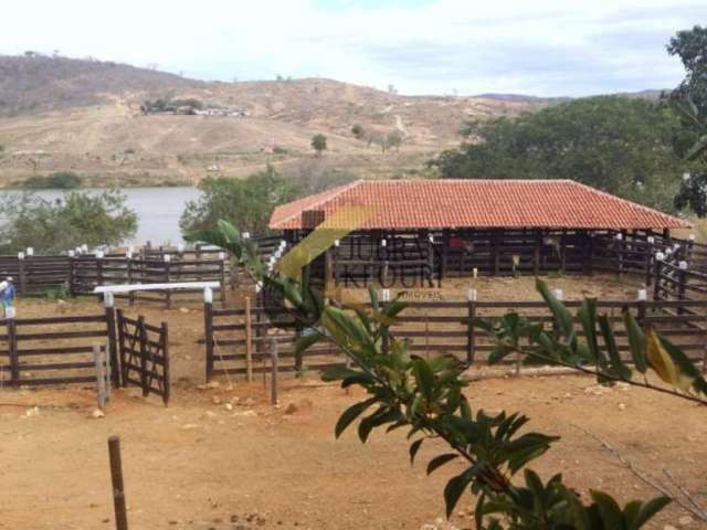 Fazenda à venda em Araçuaí - MG, com 144 hectares, acesso pela rodovia BR 342 e grande espectro de atividade