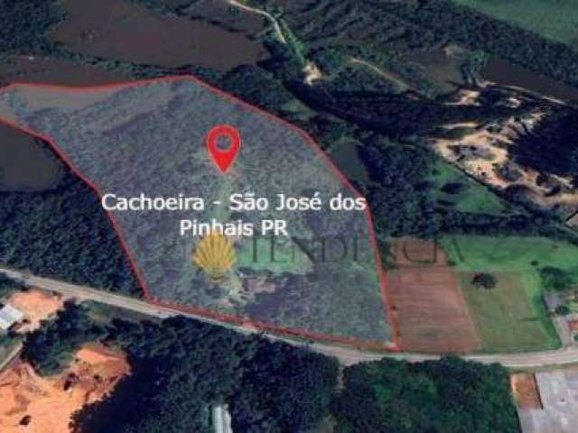 Chácara à venda, 74415 m² por R$ 11.520.000,00 - Cachoeira - São José dos Pinhais/PR