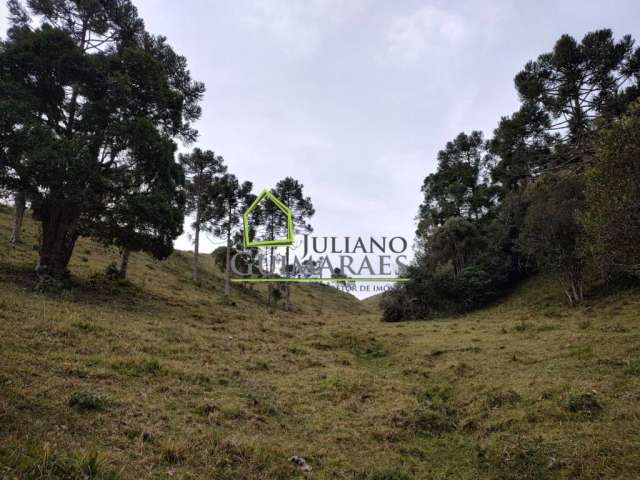 Terreno alto com 13 hectares À VENDA no centro da cidade - RANCHO QUEIMADO SC