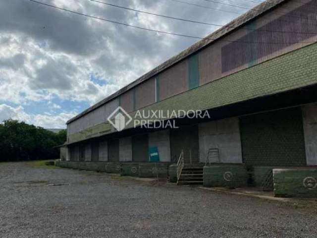 Barracão / Galpão / Depósito para alugar na Av Frederico Augusto Ritter, 1000, Distrito Industrial, Cachoeirinha, 25278 m2 por R$ 70.000