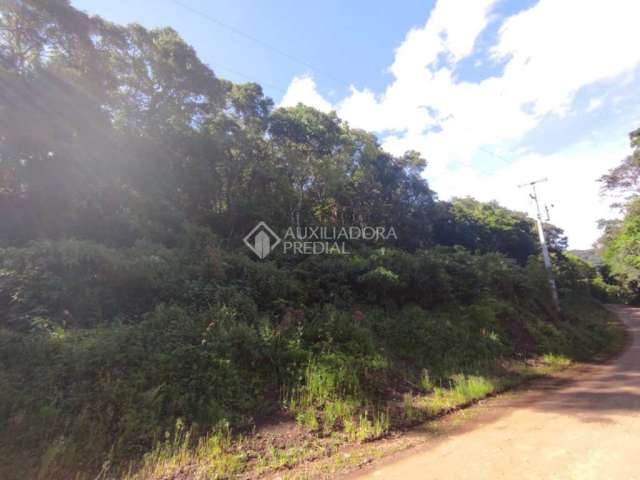 Terreno à venda na São Paulo/Canastra, 30, Centro, Canela, 100000 m2 por R$ 350.000