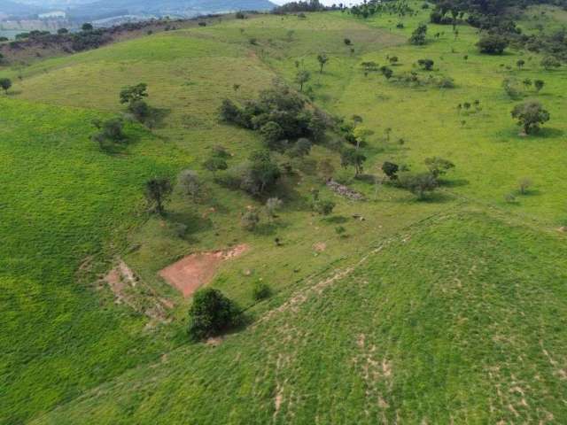 Fazenda de 58 hectares a venda as margens da br 460 em lambari