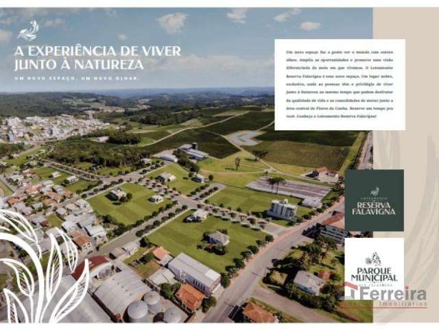 Ferreira Negócios Imobiliários Vende	Terreno em Flores da Cunha Bairro Centro  Reserva Falavigna