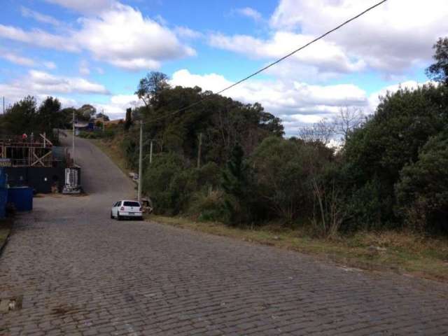 Ferreira Negócios Imobiliários Vende	Terreno em Caxias do Sul Bairro Pioneiro
