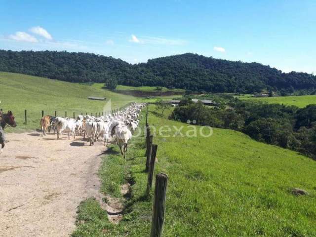 Fazenda pecuária de corte ou leite à venda, Centro, Paraibuna - SP