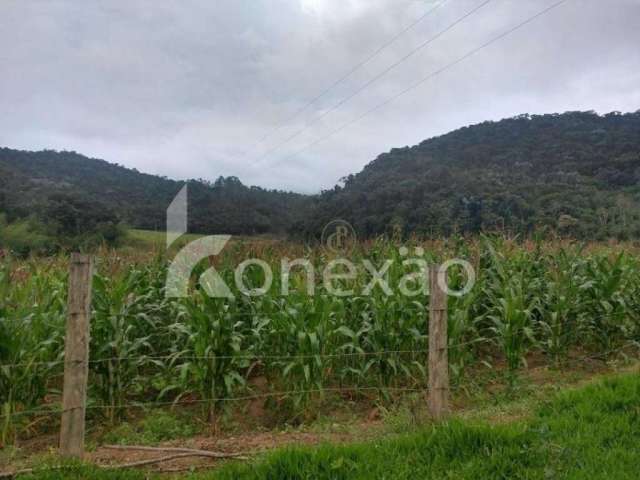Fazenda à venda, 4598000 m² por R$ 9.900.000,00 - Zona Rural - Natividade da Serra/SP