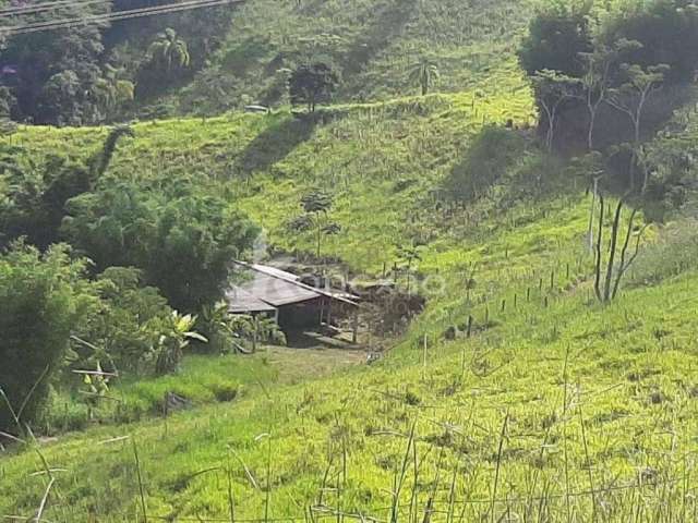 Sítio Rural à venda, Centro, Taubaté - SI0033.