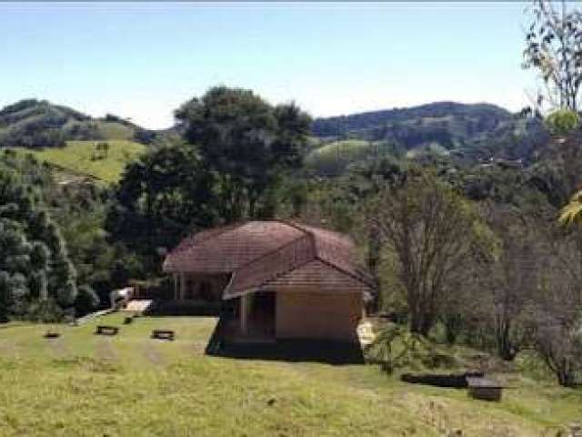 Sítio com 3 dormitórios à venda, 90000 m² por R$ 3.000.000,00 - Rio Preto - Santo Antônio do Pinhal/SP