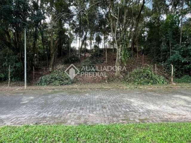 Terreno em condomínio fechado à venda na Servidão Julia Maria da Rocha, 96, Rio Tavares, Florianópolis, 400 m2 por R$ 896.000
