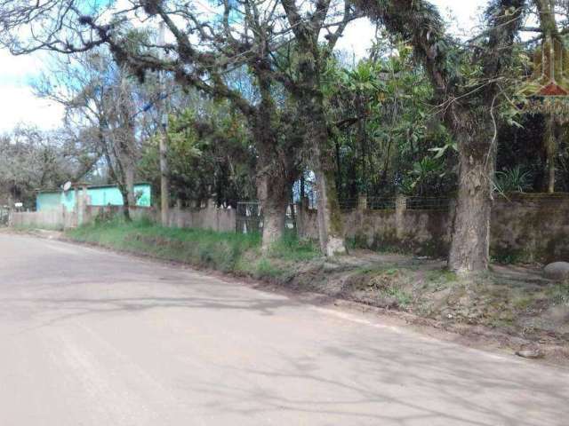 Vendo terreno de frente para a Estrada  João de Oliveira Remião, Lomba do Pinheiro, entre Porto Alegre e Viamão RS