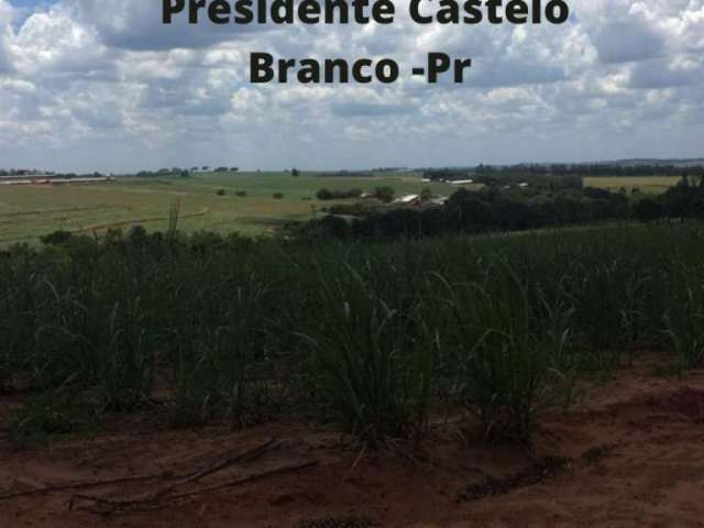 Fazenda à venda na ESTRADA TOLEDO, Centro, Presidente Castelo Branco por R$ 1.698.000