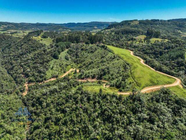 Terreno à venda, 72000 m² por R$ 750.000,00 - Rio Bonito - Rancho Queimado/SC