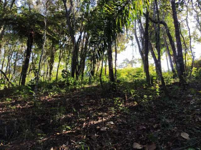Terreno à venda, 1000 m² por R$ 240 mil  - Jardim Lago da Cantareira /SP - Mairiporã