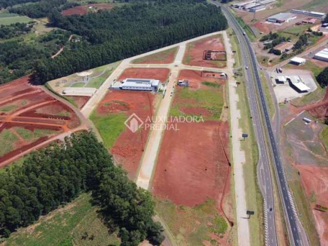 Terreno comercial à venda na BR 386, 386, Santa Rita, Estrela, 1000 m2 por R$ 550.000