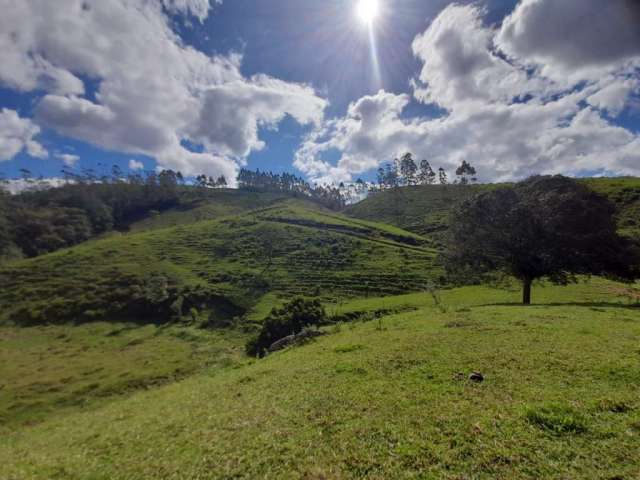 Terreno à venda em Três Riachos, Biguaçu | SC
