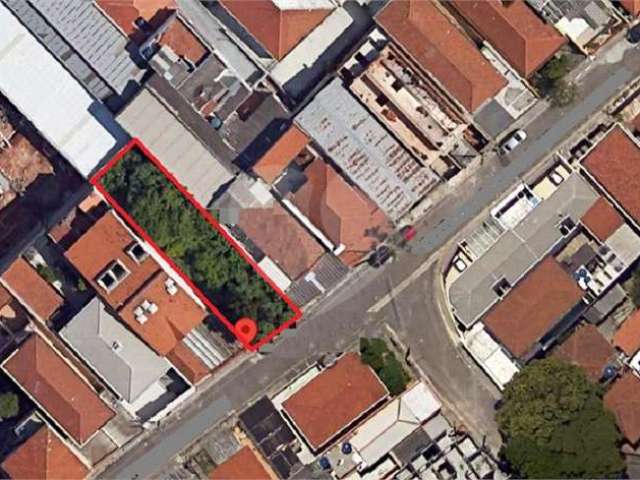 Excelente terreno para venda com 350 m²  próximo à Avenida Guapira, Vila Constança,SP