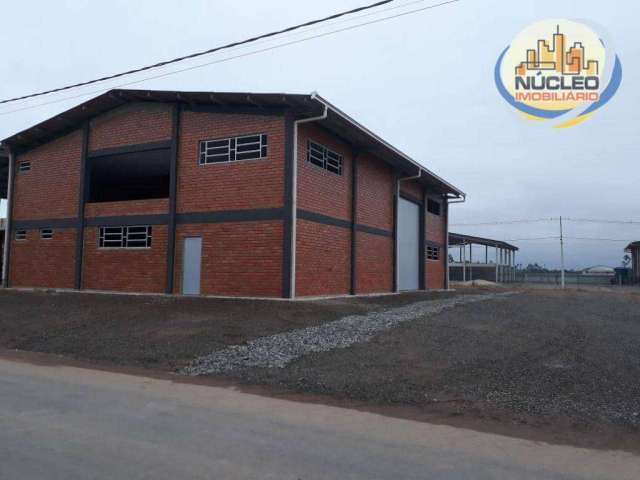 Galpão à venda, 375 m² por R$ 1.100.000,00 - Porto Grande - Araquari/SC
