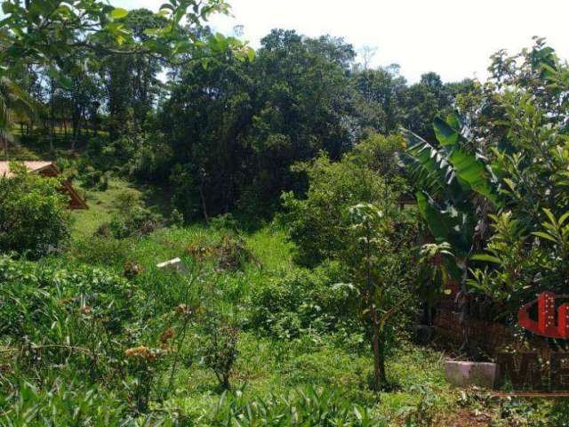 Terreno à venda, 1446 m² por R$ 550.000 - Jarivatuba - Joinville/SC