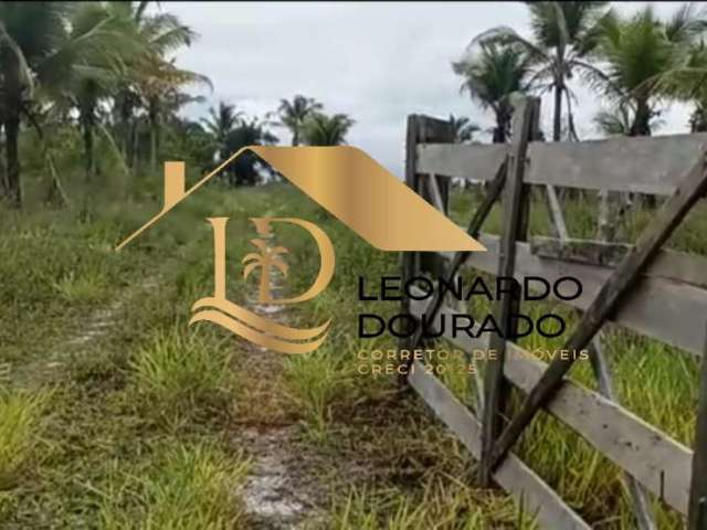 Fazenda com 1 sala à venda na Belmonte, Zona Rural, Belmonte por R$ 250.000
