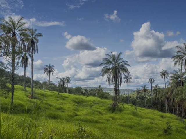 Terreno à venda, 31045 m² por R$ 500.000,00 - Terras Verdes - Lagoa Santa/MG