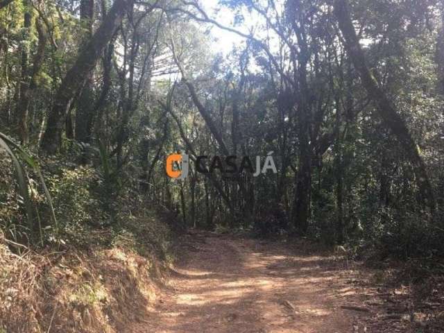 Chácara / sítio com 1 quarto à venda na Zona Rural, Contenda  por R$ 298.000