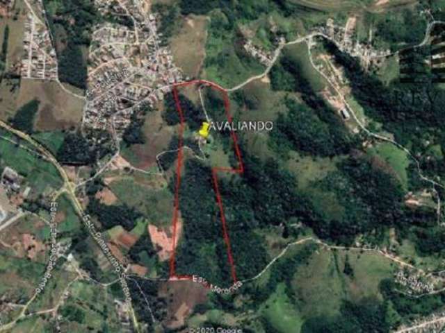 Terreno à venda, 314954 m² por R$ 6.680.000 - Jardim Amazonas - Itaquaquecetuba/SP