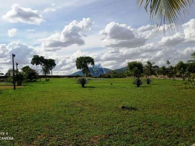 Fazenda com 174 hectares em Jaguará-Ba
