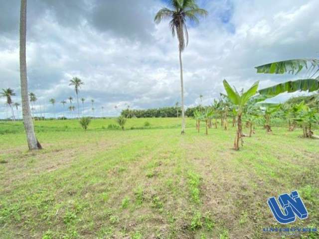 Fazenda com 66 hectares em Amélia Rodrigues