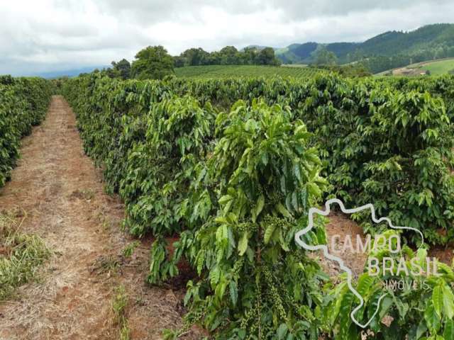 Fazenda 81,6 alqueires com plantação de café !