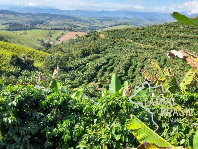 Fazenda 62,35 hectares para plantação de café e banana no sul de minas gerais !