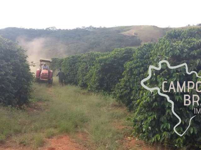 Fazenda de café 33,5 hectares no sul de  minas gerais !