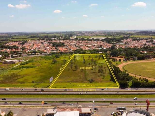 TERRENO A VENDA EM CAMPINAS / SP COM 60.000M² - 128m de frente para a Rodovia Anhanguera. Localização nobre ao lado do Jockey Club.