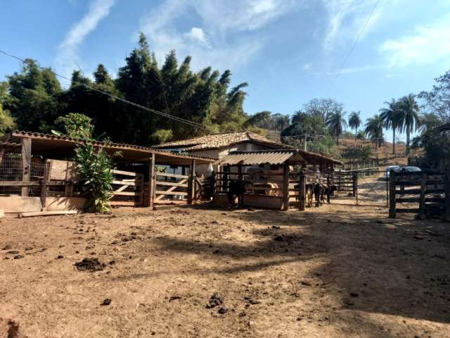Fazenda de 174 hectares com sede de curral, á venda em Claudio MG