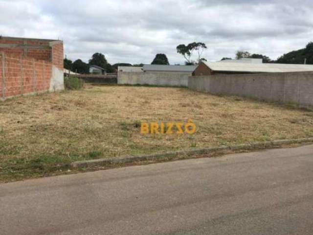 Terreno à venda, 600 m² por R$ 600.000,00 - Butiatuvinha - Curitiba/PR