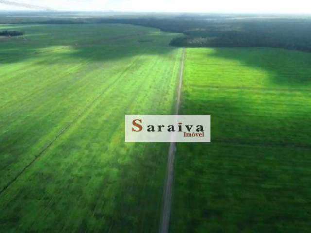 Fazenda à venda, 40000 hectares por 2.000.000.000- Zona Rural - Santana do Araguaia/PA