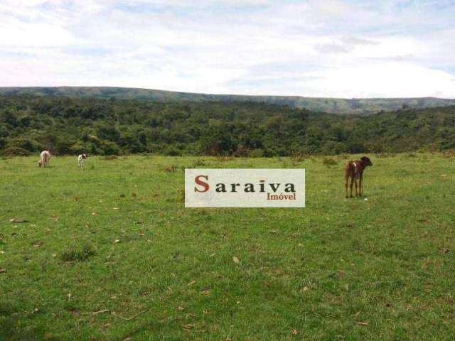 Fazenda à venda, 3950 hectares por R$ 20.000.000 - Zona Rural - Nova Brasilândia/MT