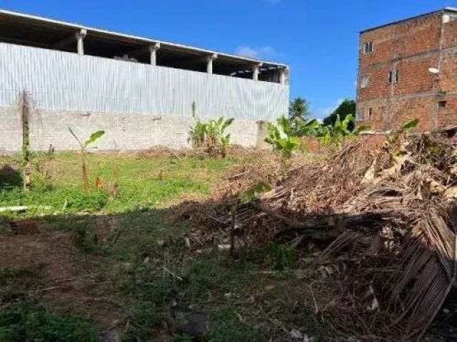 Terreno à venda, 15000 m² por R$ 350.000,00 - São Cristóvão - Salvador/BA