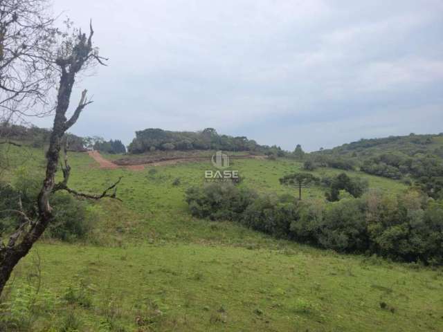 Chácara / sítio à venda na fazenda de ilheus, Criúva, Caxias do Sul, 261170 m2 por R$ 215.000