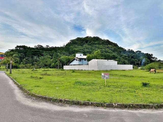 Terreno à venda, 451 m² por R$ 380.000,00 - Morro da Bina - Biguaçu/SC