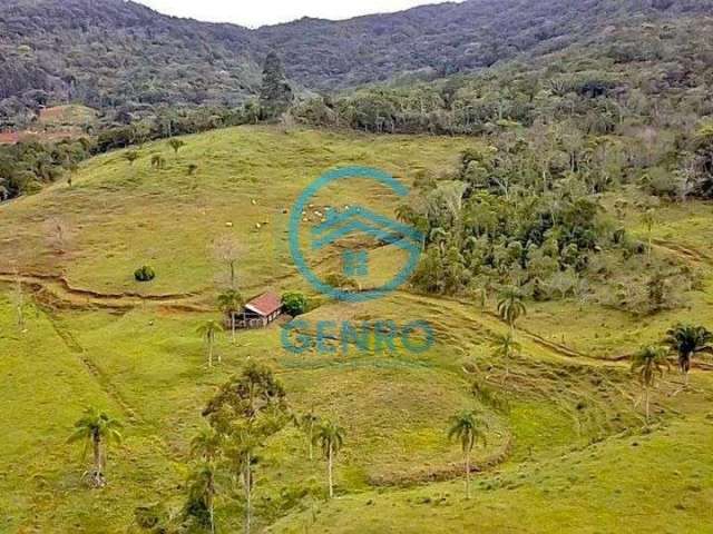 Área Rural para Sítio com Riacho e Terreno de 35 HECTARES à venda em Porto Belo/SC