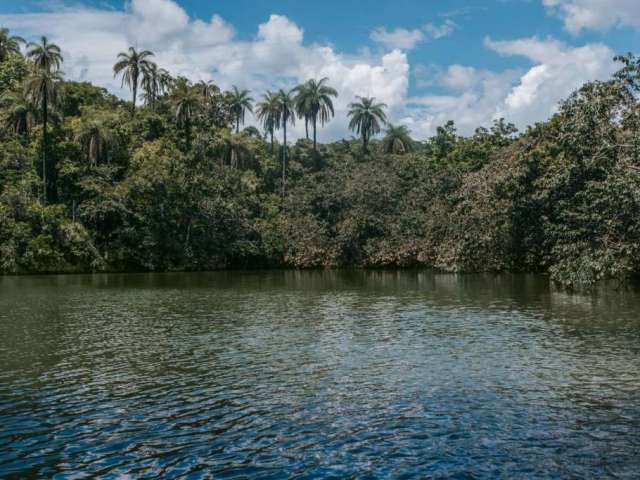 Terreno à venda, 45965 m² por R$ 600.000,00 - Terras Verdes - Lagoa Santa/MG