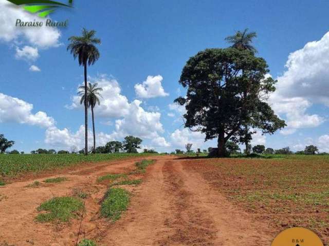Terreno à venda, 20000 m² por R$ 195.000,00 - Maringá Paraíso Rural - Jaboticatubas/MG