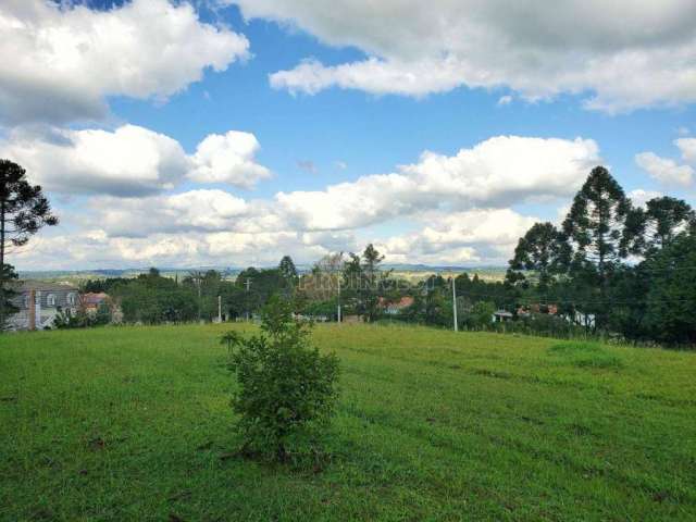 Terreno à venda, 2730 m² por R$ 1.100.000,00 - Patrimônio do Carmo - São Roque/SP