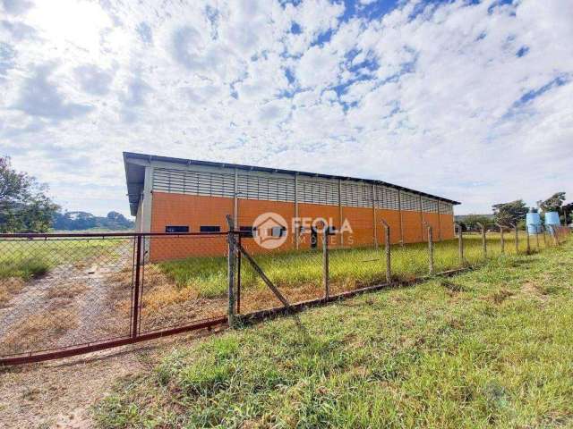 Galpão para alugar, 3800 m² por R$ 48.200,00/mês - Zona de Produção Industrial Dois (Zpi-02) - Nova Odessa/SP