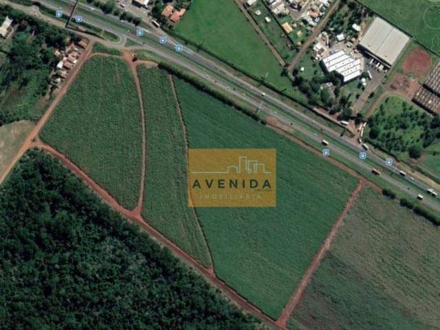 Área à venda, 217000 m² por R$ 43.500.000,00 - Betel - Paulínia/SP